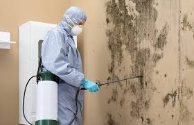 Best Commercial Mold Inspection  in Binghamton University, NY